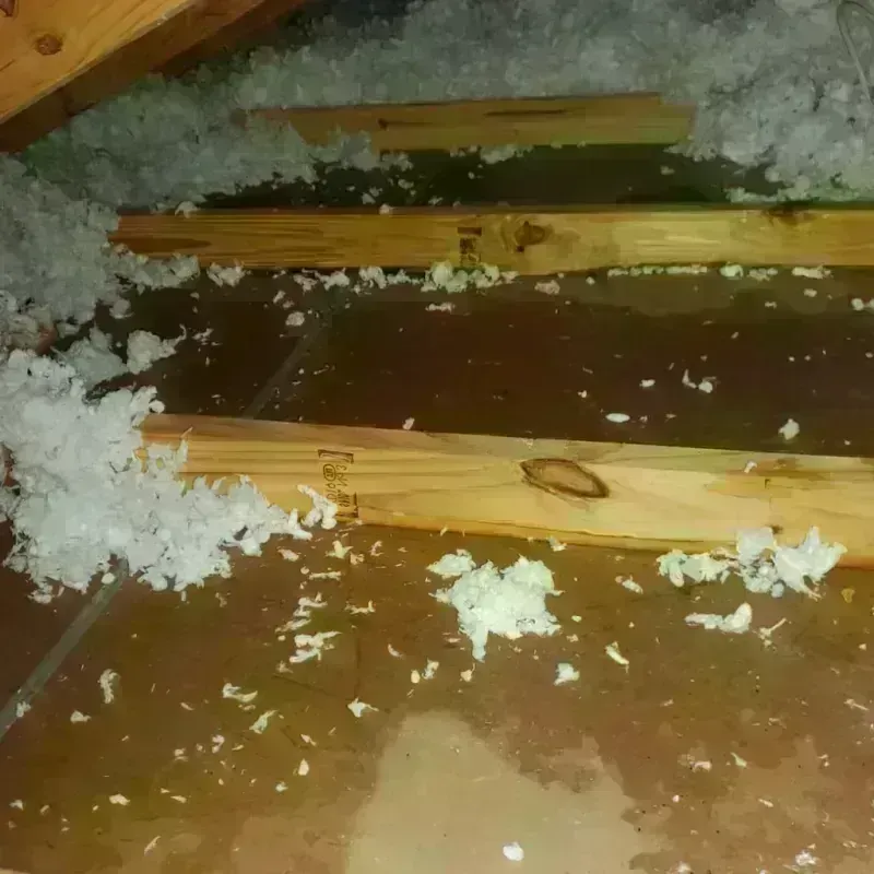 Attic Water Damage in Roy, UT