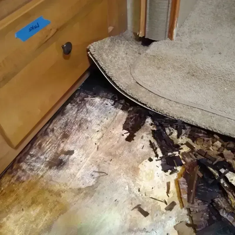 Best Wood Floor Water Damage Service in Roy, UT